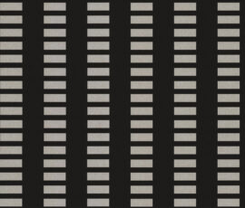 AP 1000
