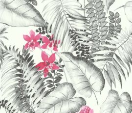 Fragrance