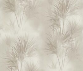 Fragrance
