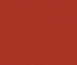 Colour Courage